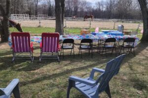 Out of the Box Stables