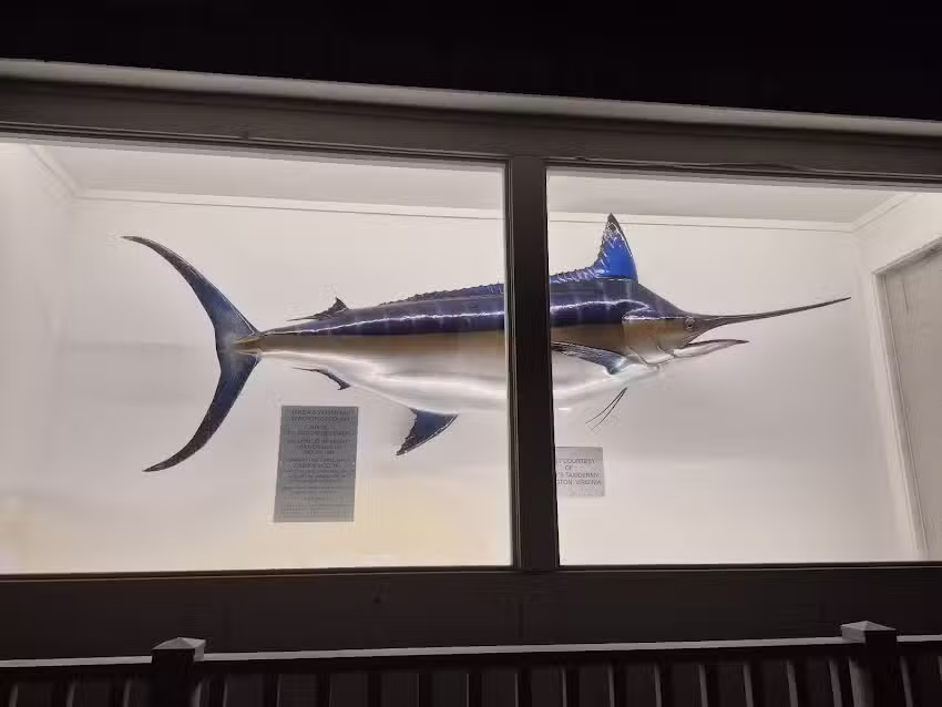 Outer Banks Visitors Bureau/Kitty Hawk