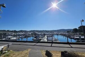 Outer Island Excursions Anacortes &ndash; Whale Watching Tours & Fishing Charters