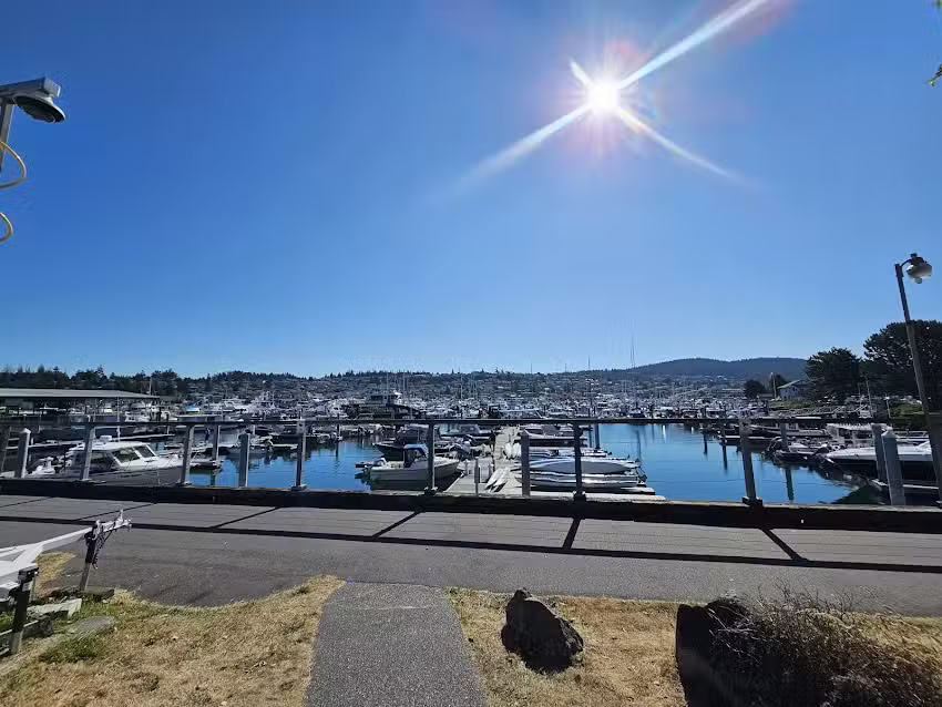 Outer Island Excursions Anacortes &ndash; Whale Watching Tours & Fishing Charters