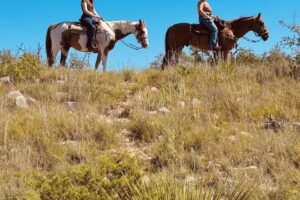 OUTLAW OUTFITTERS “Specialty” Horseback Adventures