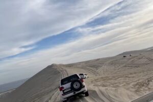 Overseas Leisure Group