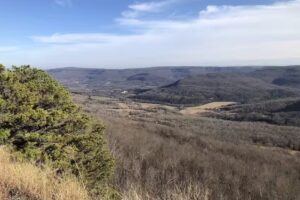Ozark–St. Francis National Forest