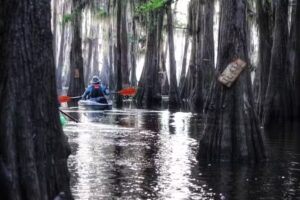Paddle Caddo