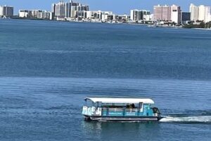 Paddle Pub Dolphin & Party Tours Clearwater Beach