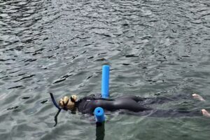 Paddletail Waterfront Adventures: Swimming with the Manatees