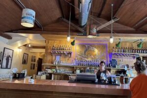 Palisade Colorado Tourism