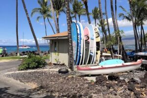 Palm Villas Mauna Lani Vacation Rental (F23)