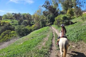 Palos Verdes Stables