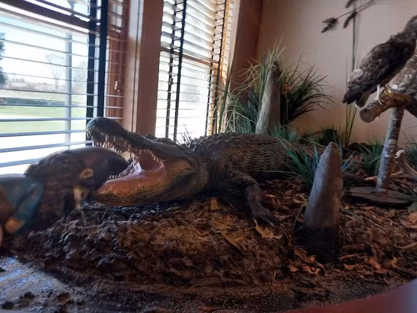 Panther Swamp National Wildlife Refuge Admin Building And Visitor Contact Station