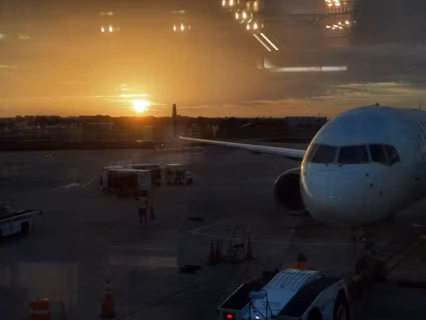 Paradies Lagard&egrave;re