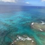 Paradise Helicopters