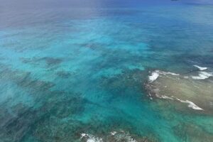 Paradise Helicopters