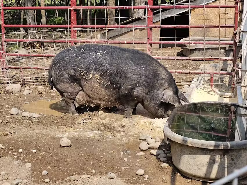 Paradise Hills Campground, MN