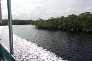 Paradise Island Charters