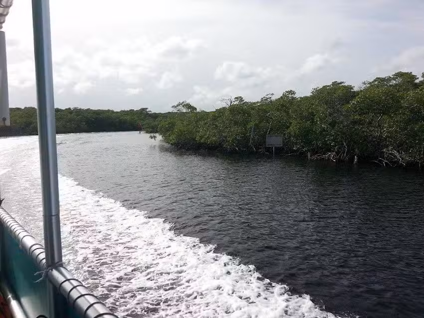 Paradise Island Charters