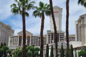 Paradise Travel by Dena