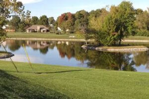 Paradise Travel Groups