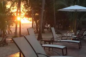 Paradisus Travel Inc