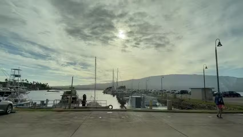 Paragon Sailing Charters