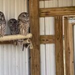 Park Office / Visitor Center