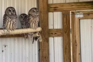Park Office / Visitor Center
