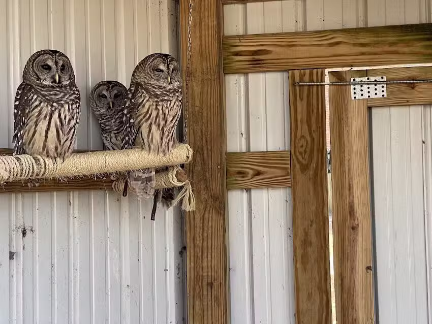 Park Office / Visitor Center