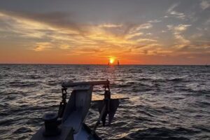 ParrotDise Express Boat Tours