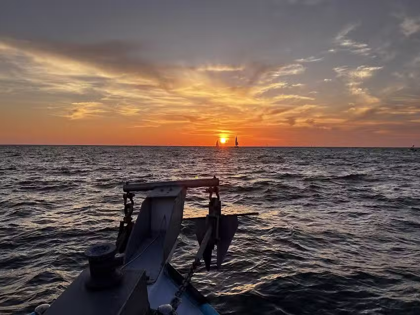 ParrotDise Express Boat Tours