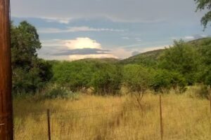 Partner & Gees Cabin