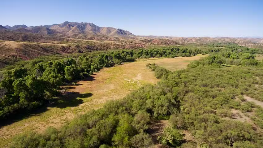 Patagonia-Sonoita Creek Preserve Visitor Center
