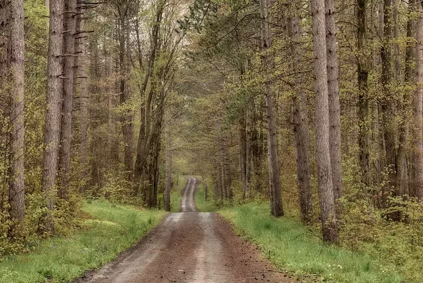 Patchwork Equine Services LLC