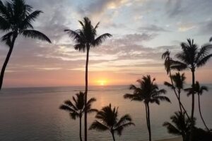 Pats at Punalu’u – Vacation Rentals