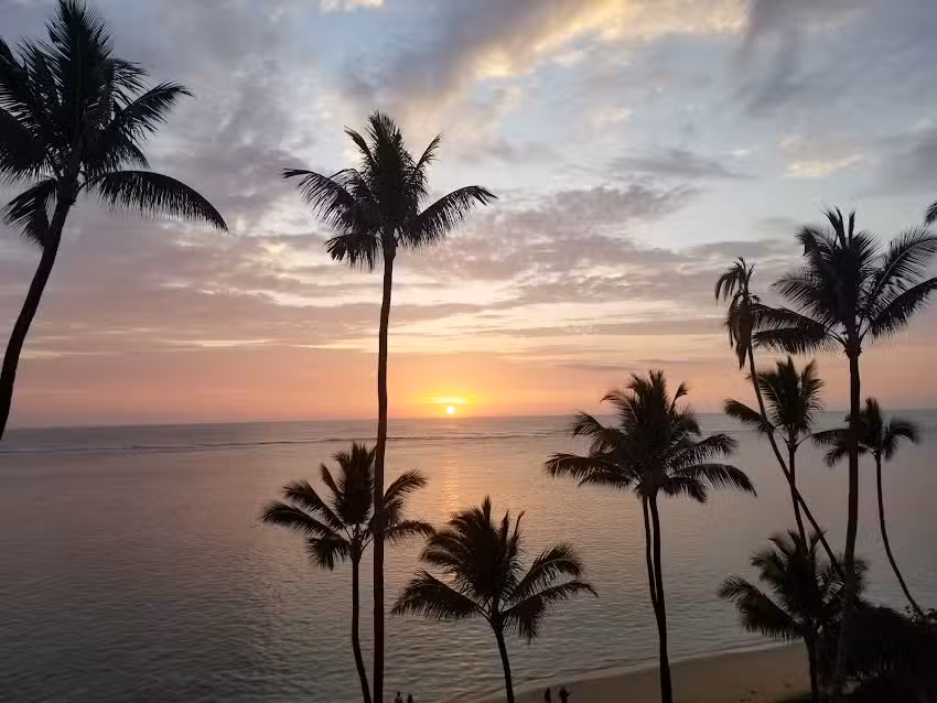 Pats at Punalu&rsquo;u &ndash; Vacation Rentals