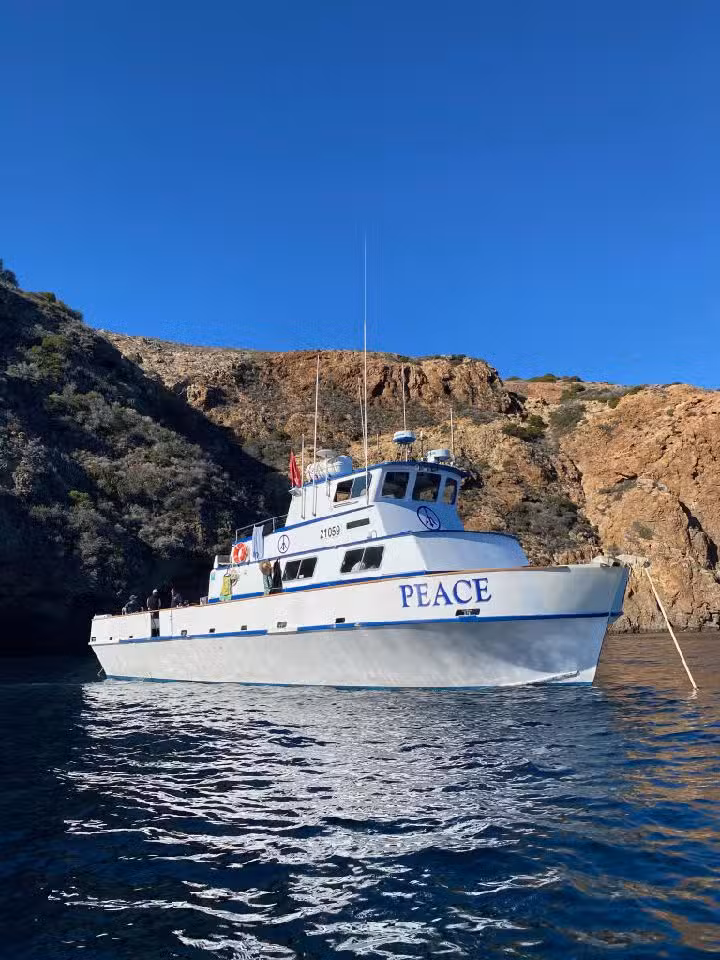 Peace Dive Boat