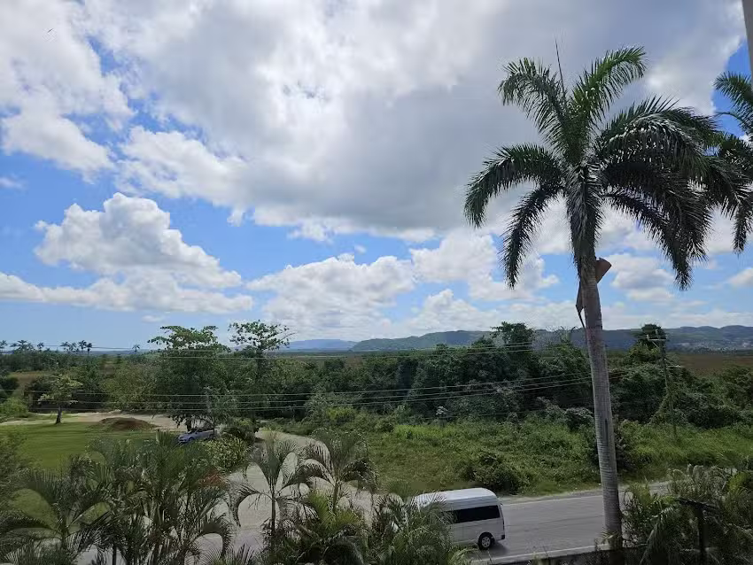 Peachy Travel Company