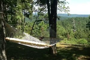 Peckerwood Knob Cabins