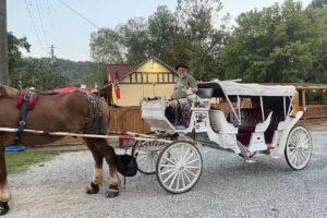 Pegasus Horse Drawn Carriages