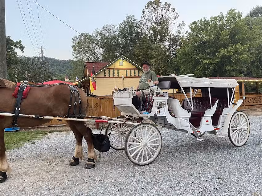 Pegasus Horse Drawn Carriages