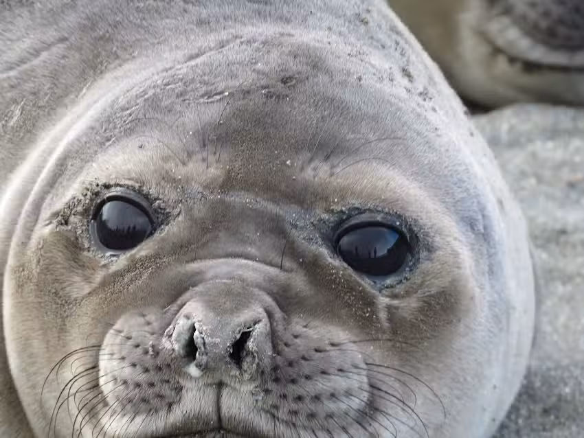 Penny Pincher Travel Agency