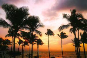 Perfect Getaways LLC