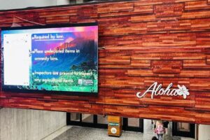 Perfect Planning By Tina-Dream Vacations