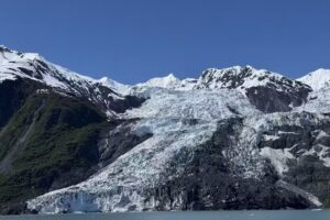 Phillips Cruises & Tours, LLC