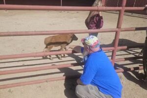 Philmont Cattle Headquarters