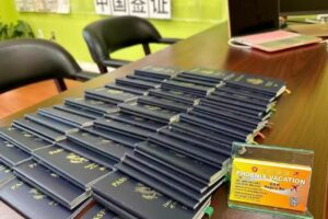 Phoenix Vacation (凤凰假期)