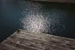 Pickwick Lake Vacatons