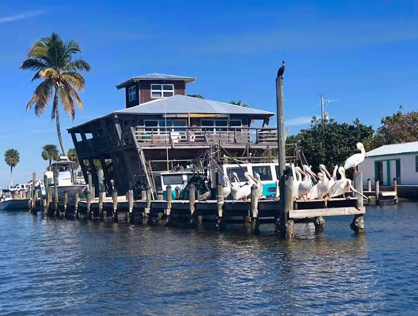 Pine Island Boat Tours
