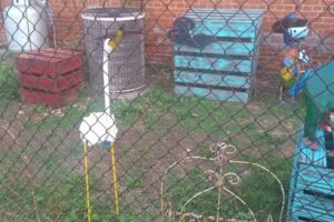 Pine Mountain Tourism Association