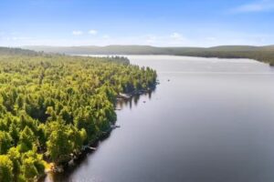 Pine Tree Stays-Seymour Cove House