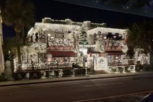 Pineapple Ride and Tour